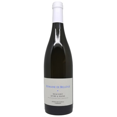 Jérôme Bretaudeau - Domaine de Bellevue - Muscadet Gabbro  2018 achat meilleur prix avis bon caviste bordeaux